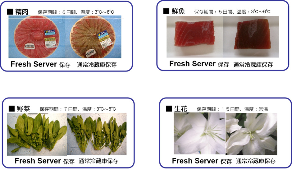 Fresh Server の鮮度保持効果（冷蔵）