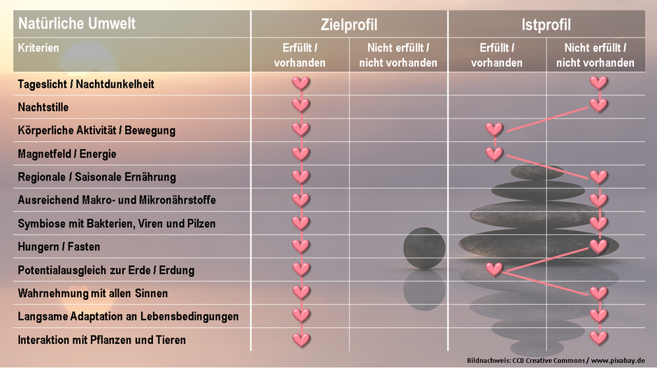 Eigene Darstellung in Anlehnung an Prof. Dr. Spitz