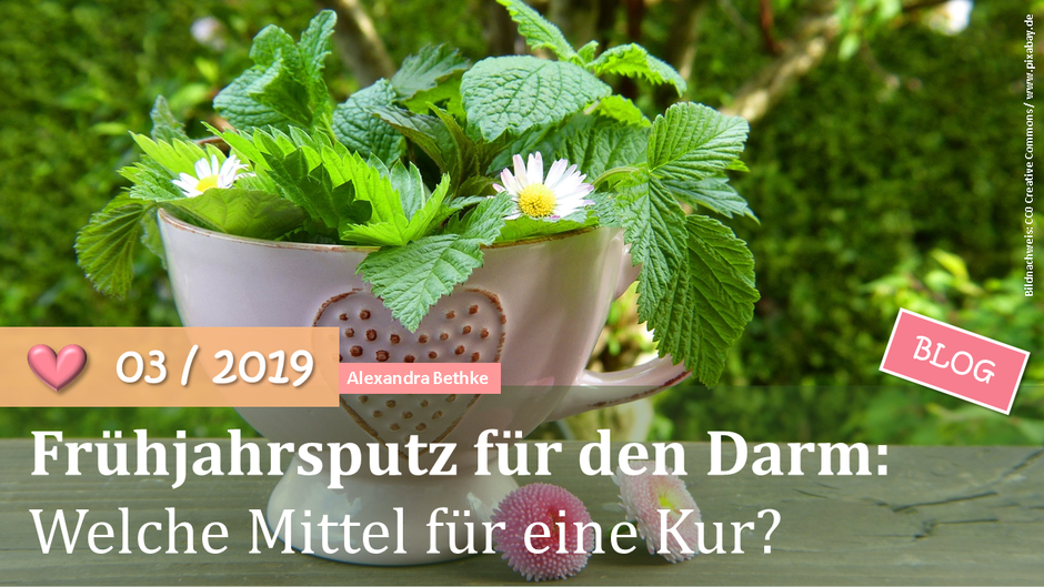 Blog; Frühjahrsputz für den Darm; Darmkur; Entgiftung; Darmsanierung; Darmaufbau; Darmgesundheit; Naturheilkunde; Kräuter; Gewürze