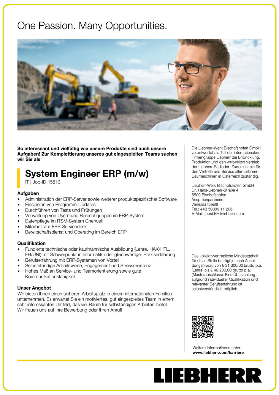 Software Developer Jobs - System Engineer ERP - Liebherr - Bischofshofen - Salzburg