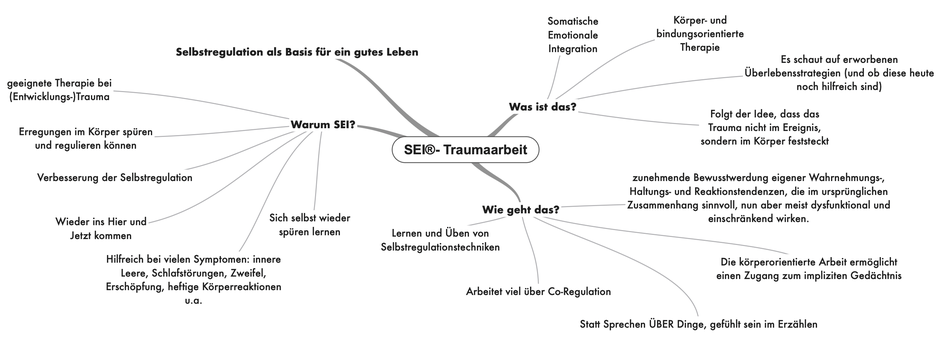 Eine Mindmap, die erklärt was SEI Traumaarbeit (Somatische Emotionale Integration) ist