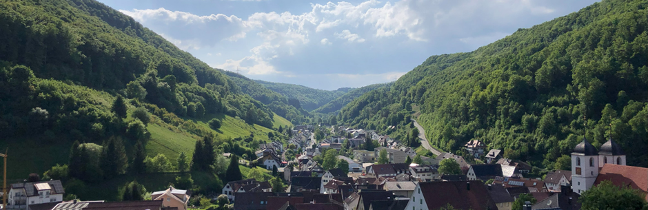 Blick vom Albhotel Malakoff auf Wiesensteig 