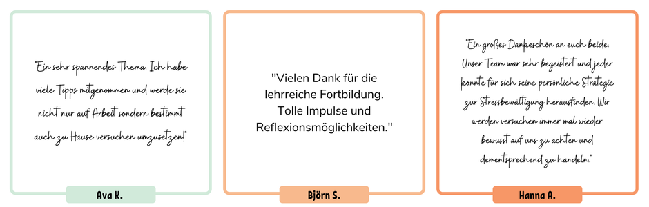 Feedback FB 6