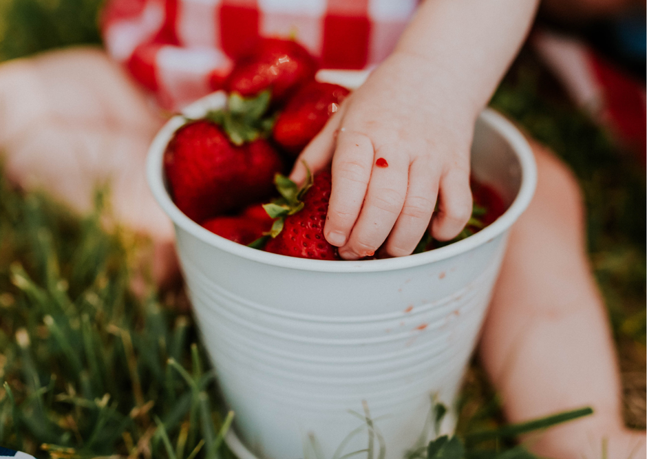 Sommer Beeren Kinderhand