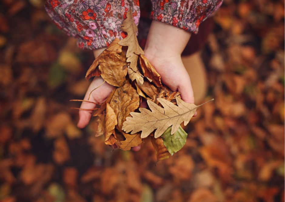 Laubhaufen für den Igel machen. Mit Kindern im Herbst