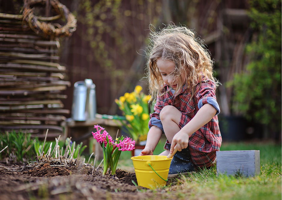 Kräutergarten mit Kindern anlegen