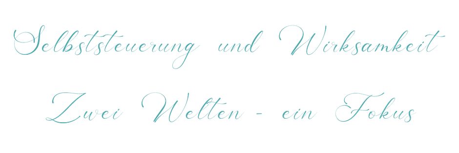 Zwei Welten ein Fokus - Selbststeuerung und Wirksamkeit
