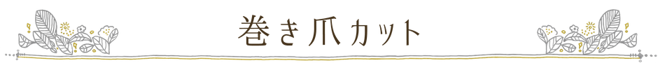 ニコ舎 巻き爪カット