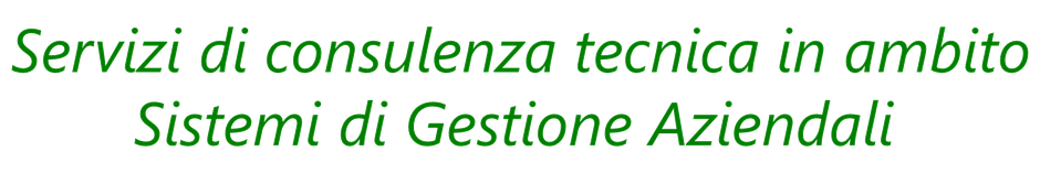 Servizi di consulenza tecnica in ambito sistemi di gestione aziendali