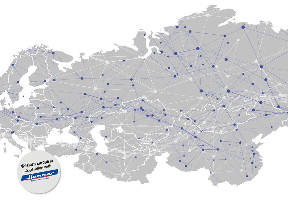 Network Image