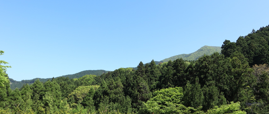 自然整体,ウツロイ,姪浜整体,室見整体,早良区整体,カイロプラクティック,自律神経,めまい,突発性難聴,ホルモンバランス,しびれ