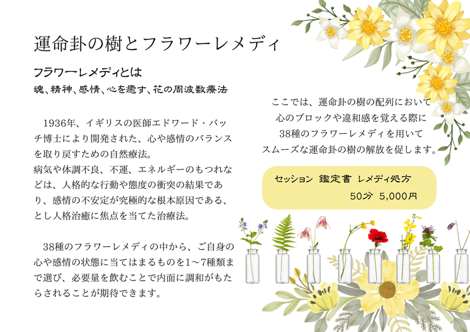 自然整体ウツロイ,姪浜整体,福岡市整体,福岡市ホメオパシー,波動,お祓い,気功,エネルギー療法,八卦,占い,フラワーレメディ