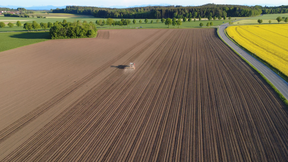 Beispiel-Frame (Keyframe_0055.png) – zum Vergrößern klicken.