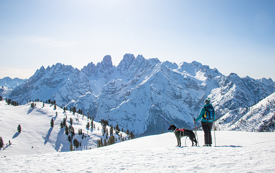 Bergurlaub mit Hund, Wandern mit Hund, Urlaub mit Hund , Wandern in Südtirol