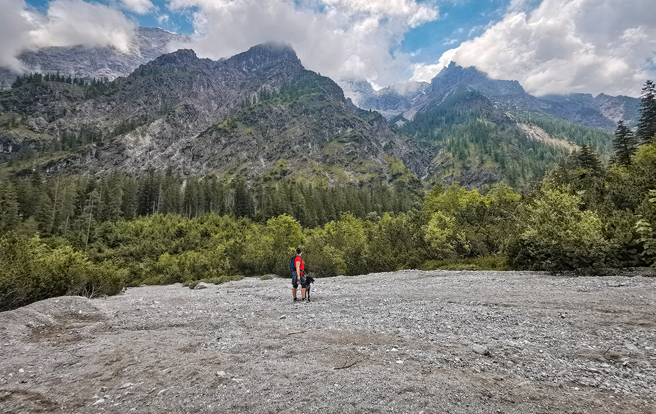 Wandern in Bayern, Wandern mit Hund, Urlaub mit Hund, Bergurlaub mit Hund