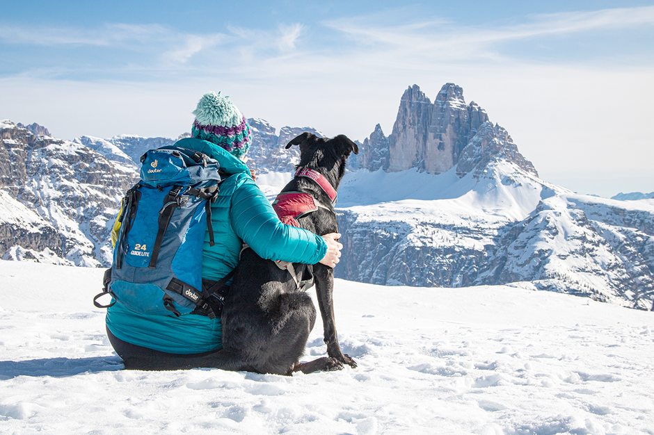 Bergurlaub mit Hund, Wandern mit Hund, Urlaub mit Hund , Wandern in Südtirol