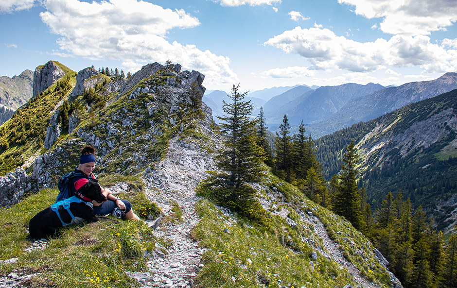 Wandern mit Hund Bergurlaub mit Hund Wandern in den Ammergauer Alpen Kesselbergrunde