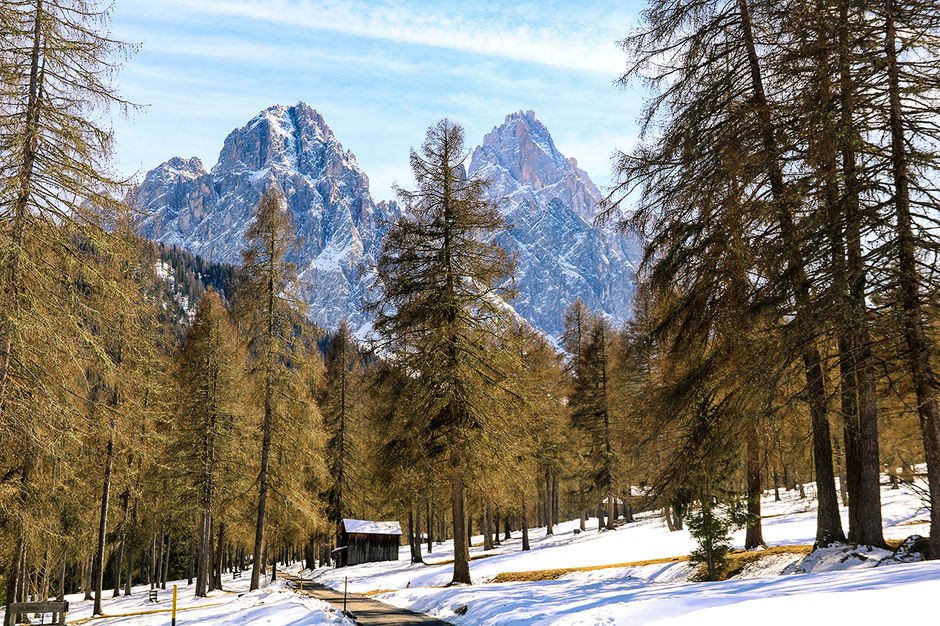 Innerfeldtal Sexten Pustertal Wandern mit Hund Bergurlaub mit Hund