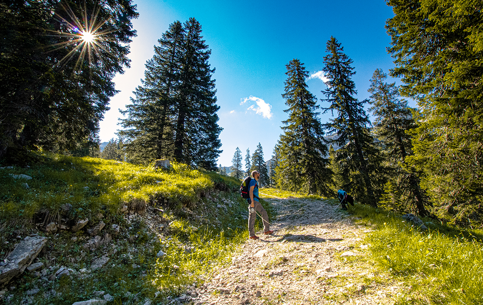 Kesselbergrunde Ammergauer Alpen