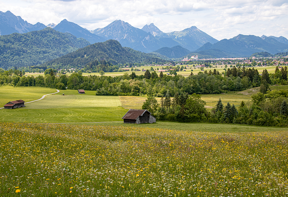 Füssen Tegelberg Ostallgäu, Wandern in Bayern, Wandern mit Hund, Urlaub mit Hund, Bergurlaub mit Hund, Wandern im Allgäu