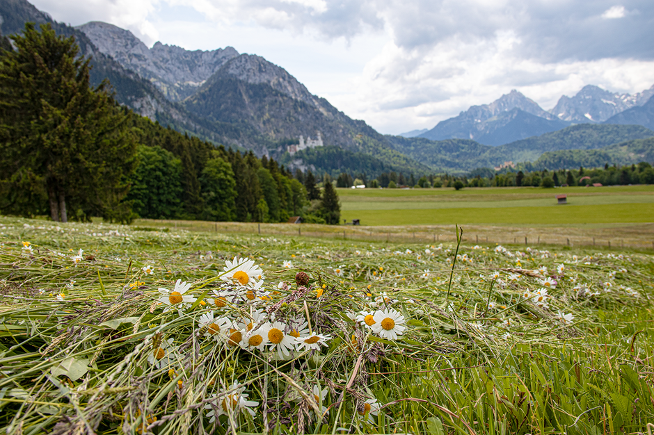 Wandern im Allgäu Tegelberg Ostallgäu