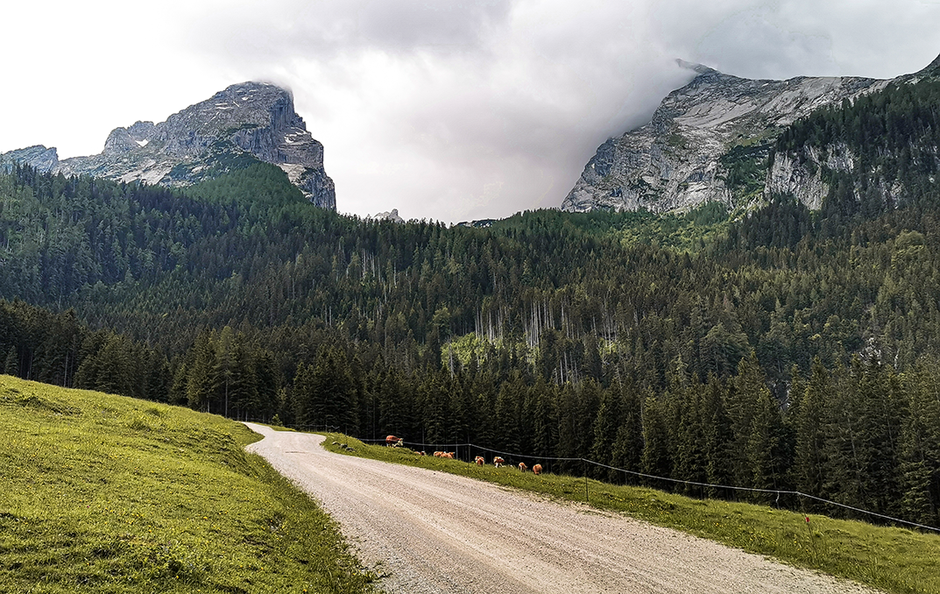 Wanderung zur Kühroitalm