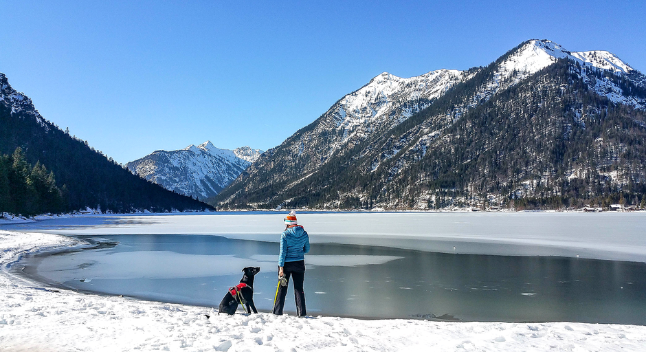 Plansee Tirol Winterwandern Wandern in Tirol Wandern mit Hund Bergurlaub mit Hund, Bergurlaub mit Hund, Wandern mit Hund, Urlaub mit Hund 