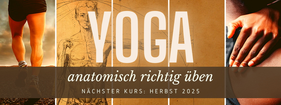 YOGA ANATOMISCH RICHTIG ÜBEN | QUATTRO YOGA