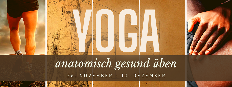 YOGA ANATOMISCH GESUND ÜBEN | QUATTRO YOGA