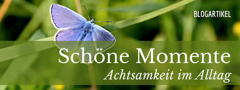 Ayurveda im Alltag