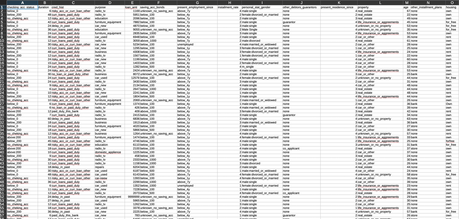 Overview of the raw data in a spreadsheet