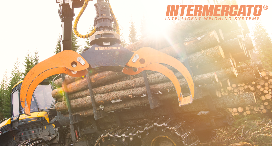 Header präzise und zuverlässige Intermercato Wiegesysteme vertrieben durch Huck Technik in Sinzheim-Kartung.