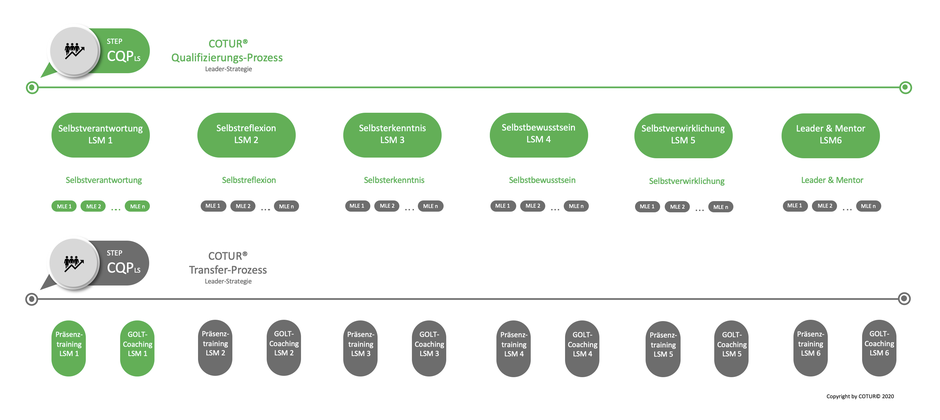 Leadershape by COTUR® - Qualifizierungs-Prozess Leader-Strategie