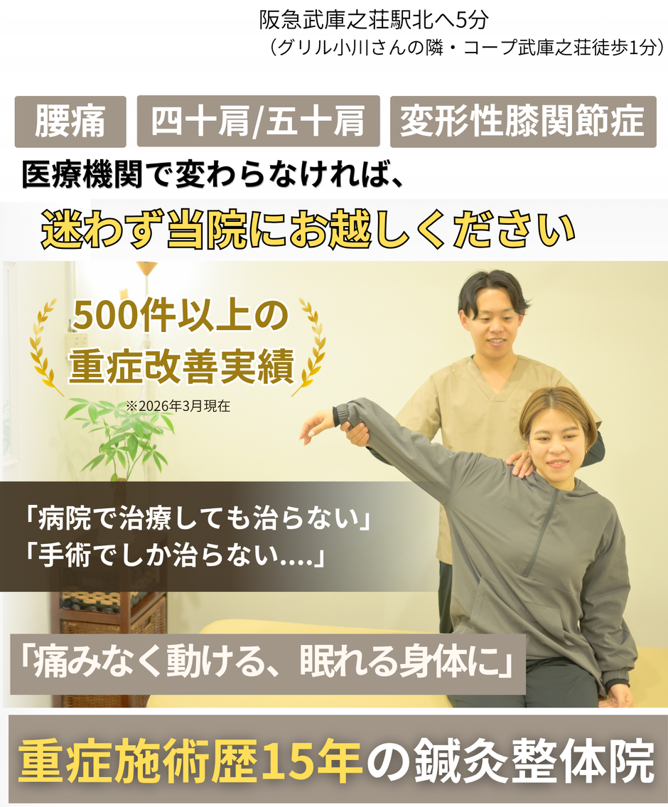 病院では手術を勧められている、マッサージも注射も薬も効かないとお困りのあなたへ。腰痛、ヘルニア、坐骨神経痛、重度の慢性痛、脊柱管狭窄症。変形性膝関節症、膝痛、五十肩、鍼灸治療は試されましたか。土日営業、、武庫之荘駅徒歩5分。