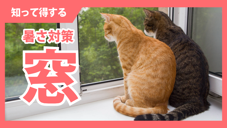 窓から入ってくる日射で夏は暑くなることを昔から知っているものの対策はというと・・・