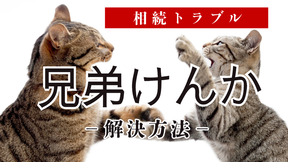 家族間で意見が割れたときの不動産相続の解決ステップ