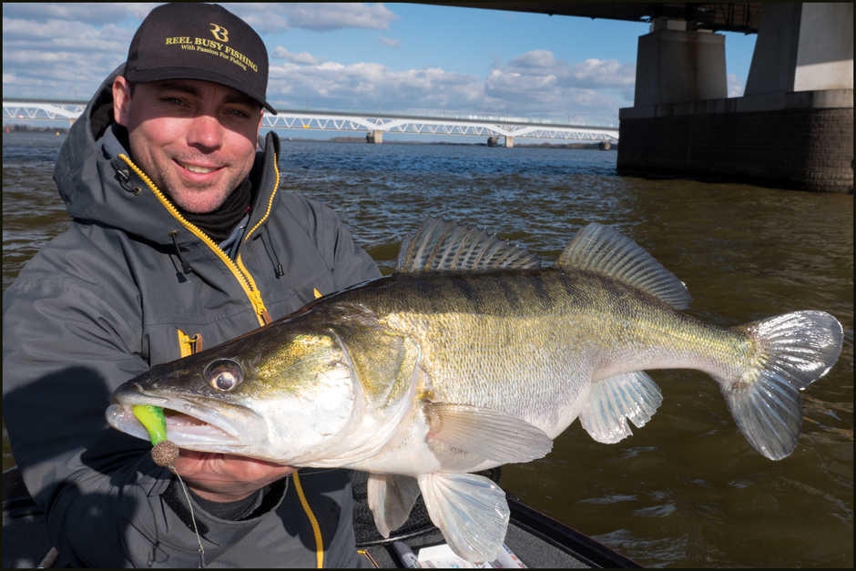 Reel Shad 10cm Hot Lemon - Gummifisch für kapitale Zander 
