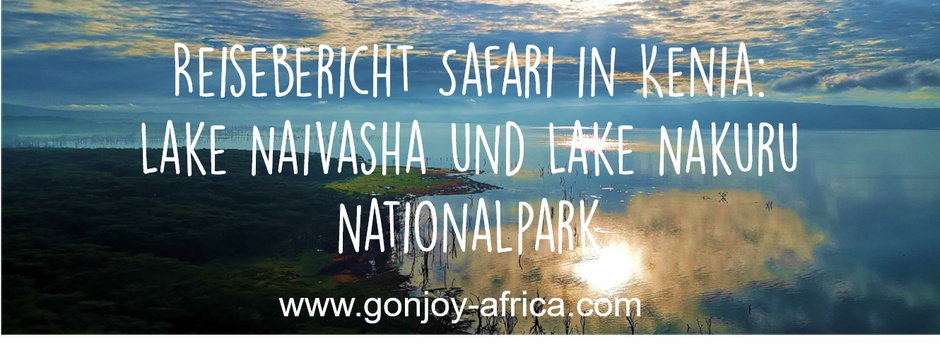 Lake Naivasha Lake Nakuru Kenia Safari