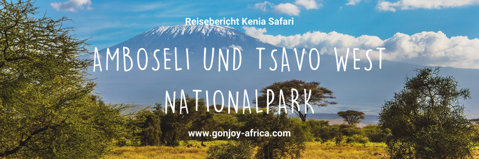 Kenia Safari Amboseli und Tsavo West