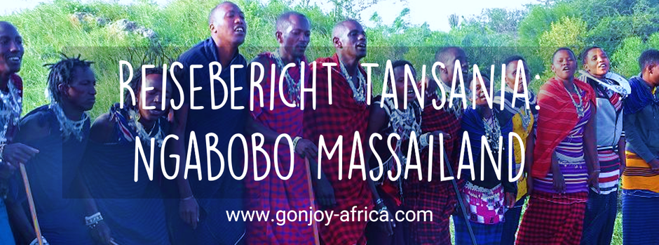Reisebericht Safari in Tansania