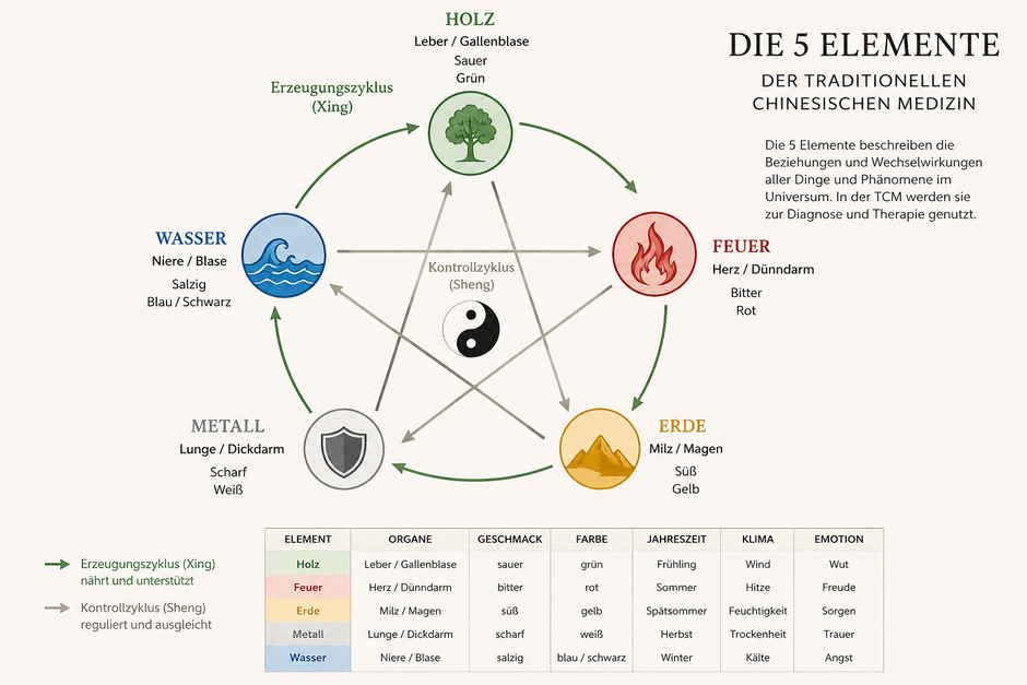 Abbildung: KI-generierte Info Grafik (5-Elemente Lehre) - Die Darstellung dient der Veranschaulichung traditioneller Konzepte der TCM und stellt keine medizinische Wirkbehauptung dar.
