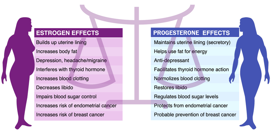 The increasing estrogenation of society creates multiple problems including an increased chance of cancer