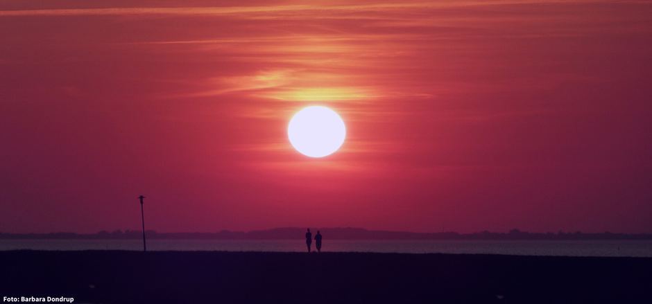 Ein roter Himmel. Ein wunderschöner Sonnenuntergang. Auf dem Deich stehen zwei Personen, direkt unter der Sonne und genießen achtsam den Moment.