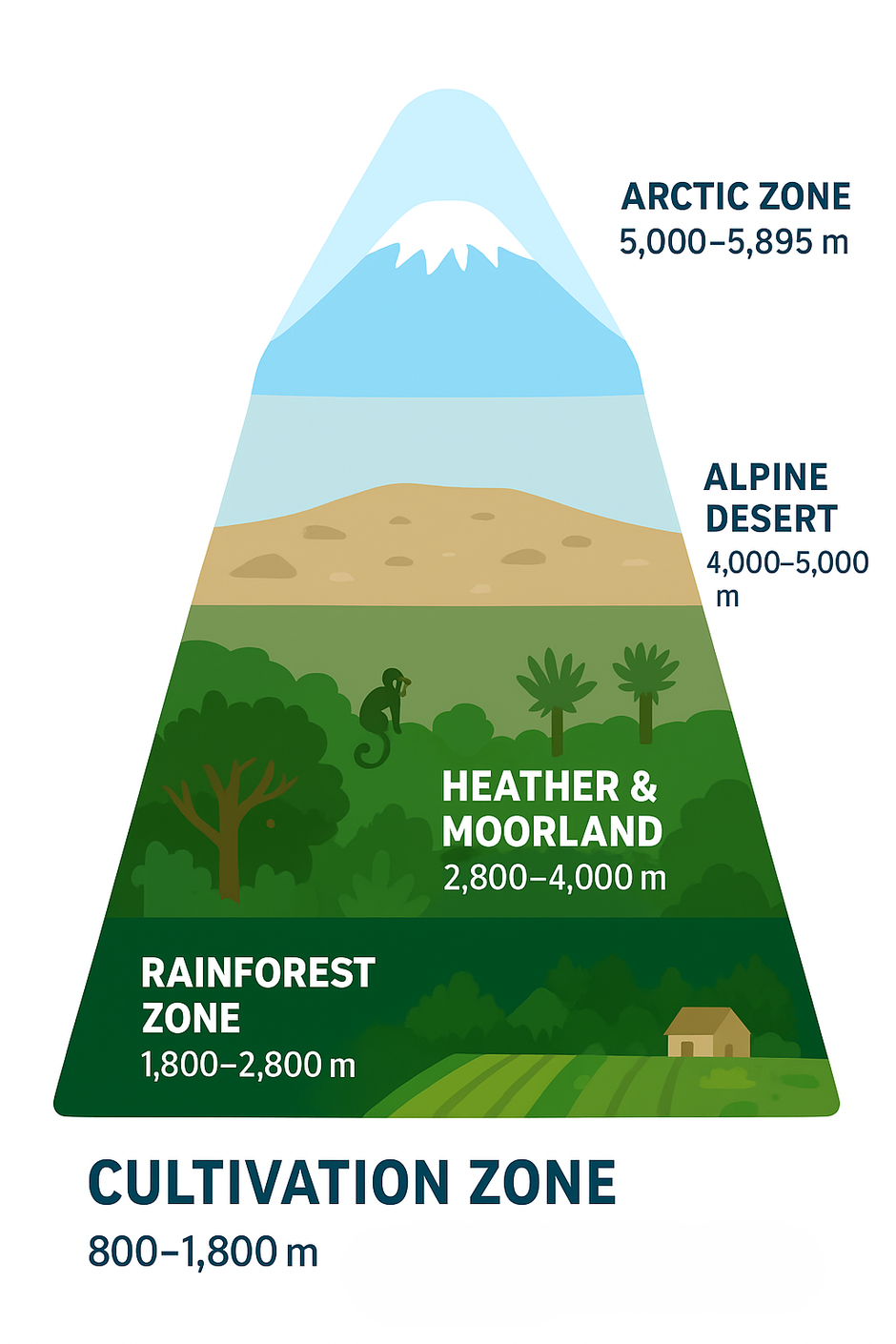 The 5 Zones of Mount Kilimanjaro