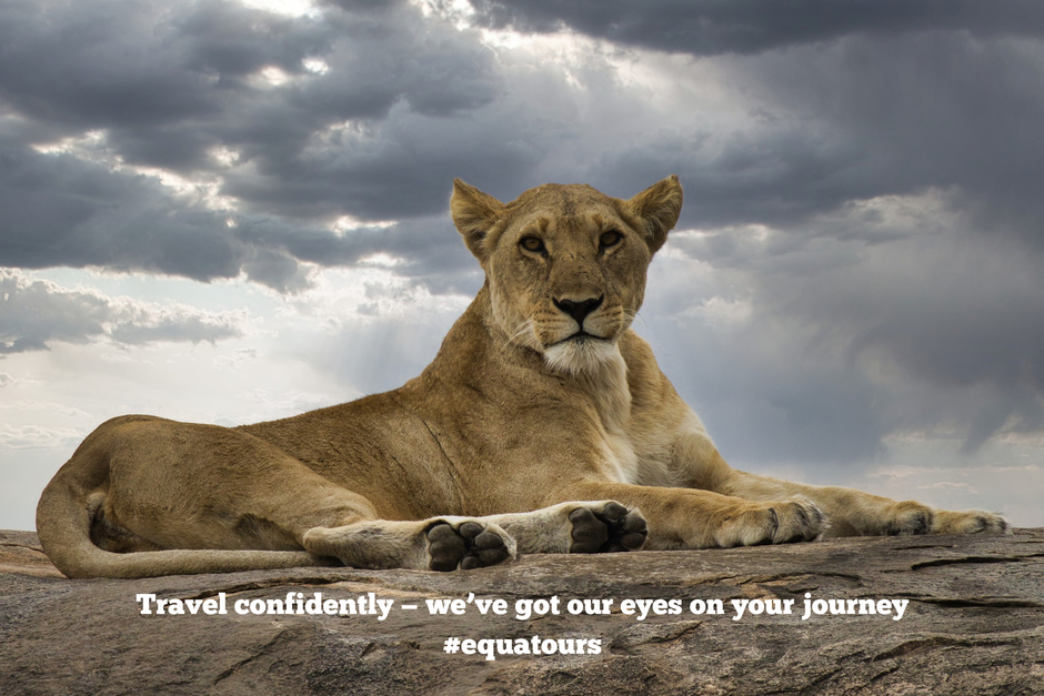 Bespoke Travel with Equatours