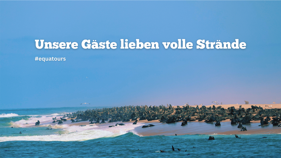 Massgeschneiderte Traumreisen mit Equatours