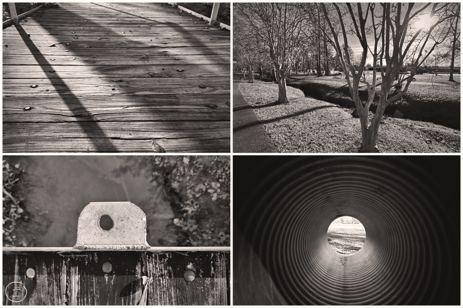 The old walking park behind the hospital in Dequincy, Louisiana. Photos by Oran Parker.