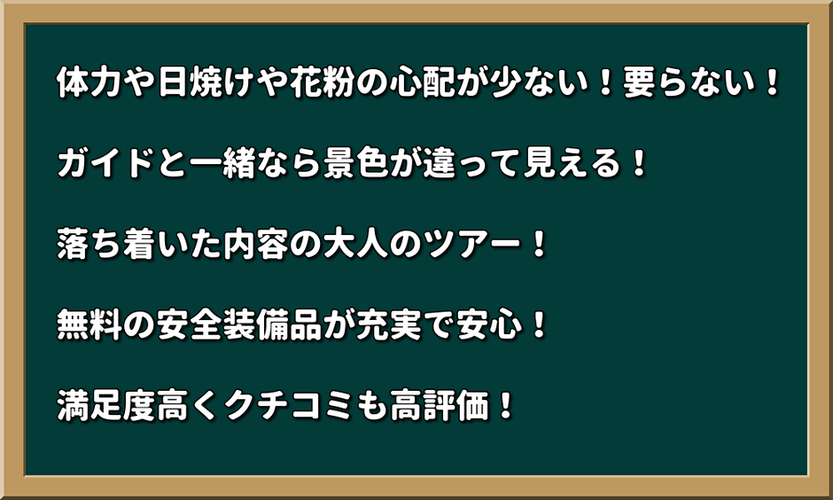 体力や日焼けや花粉の心配が少ない！要らない！ ガイドと一緒なら景色が違って見える！ 落ち着いた内容の大人のツアー！ 無料の安全装備品が充実で安心！ 満足度高くクチコミも高評価！