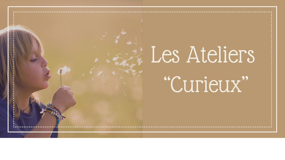 atelier lutins curieux