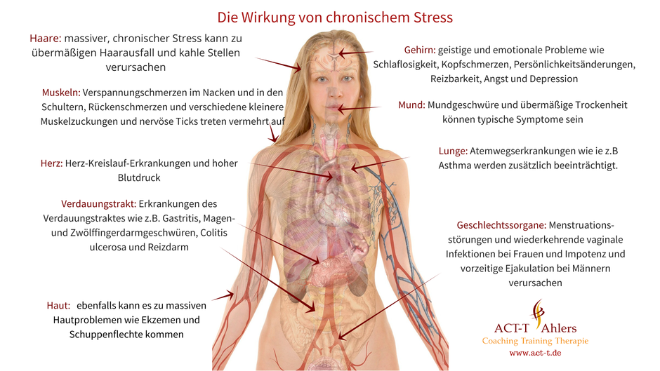 Folgen von chronischem Stress